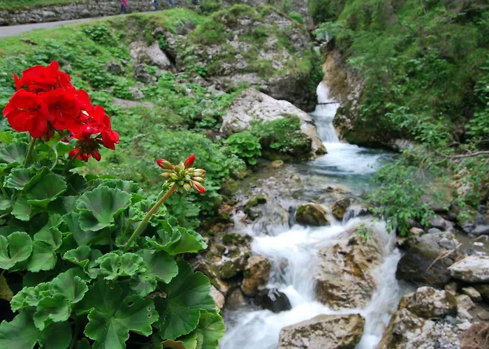 Dolomitissime Holiday Homes Marmolada